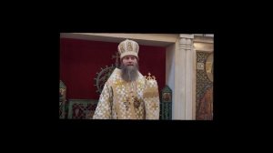 Проповедь епископа Павлово-Посадского Силуана в день Собора Трех святителей