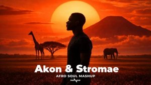 Akon & Stromae - Right Now (Na Na Na) (Afro Soul Mashup)