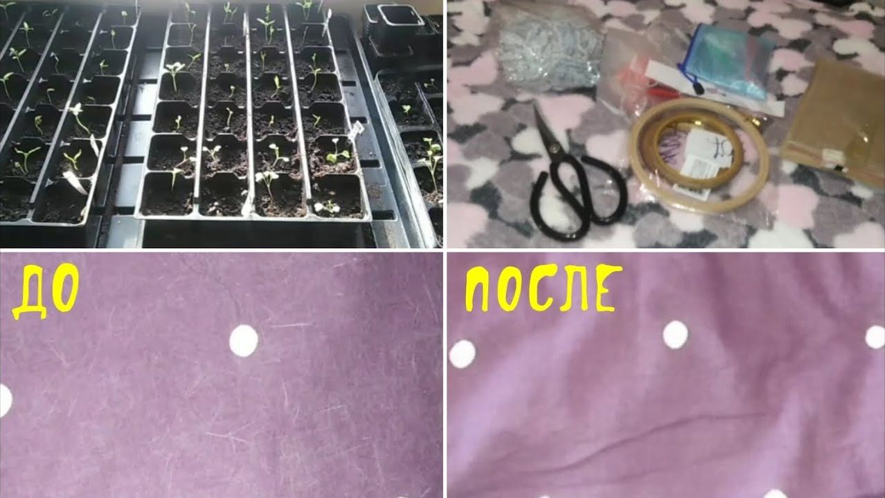 26-2024 Я нашла её! Творческие обновки. Рассада __ Elena Pero