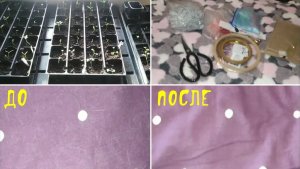 26-2024 Я нашла её! Творческие обновки. Рассада __ Elena Pero