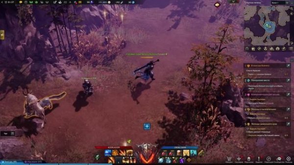 LOST ARK онлайн игры Аньшу Мглистые кряжи