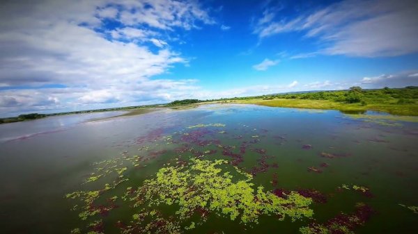 Хабаровский край и DJI Avata