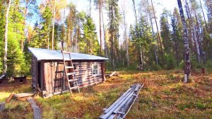 Первый выход в лес и добыча. Полевая кухня. Кадры летние с фотоловушки. 3 серия