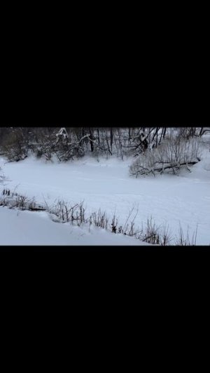 Десна Подольск 13 февраля