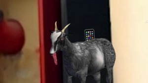 Пилгор не может выспаться