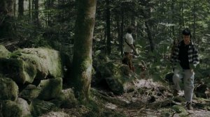 Трейлер Heart of the Forest (запуск)