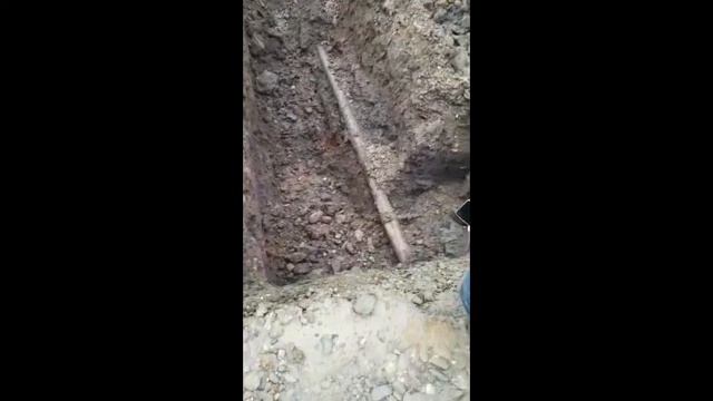 Copy_9C96CD6E-A3B4-4C26-929A-F7AAC37D4A12