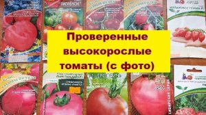 Рассказываю о моих проверенных сортах помидоров для теплицы, высокорослые!