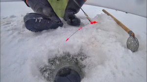 Безмотылка мухомормыш, чёртик, гвоздик техника ловли.