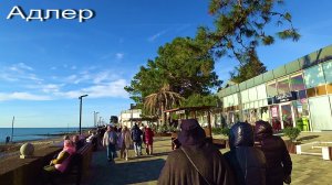 АДЛЕР. ФЕВРАЛЬ 2026. РЕКА МЗЫМТА. МАНДАРИН. ПЛЯЖ ЧАЙКА. НАБЕРЕЖНАЯ.