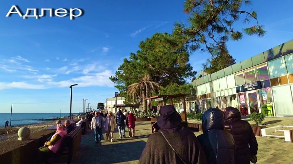 АДЛЕР. ФЕВРАЛЬ 2026. РЕКА МЗЫМТА. МАНДАРИН. ПЛЯЖ ЧАЙКА. НАБЕРЕЖНАЯ.