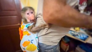 РАСПАКОВКА! Маня одела новое платье и вцепилась в папу КАК РОДНАЯ)))