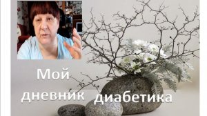 13.02.26. Мой дневник диабетика.