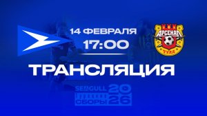 «Чайка» - «Арсенал» | Прямая трансляция контрольного матча