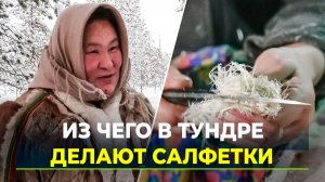 Секрет чистоты кочевого дома