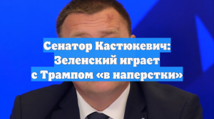 Сенатор Кастюкевич: Зеленский играет с Трампом «в наперстки»