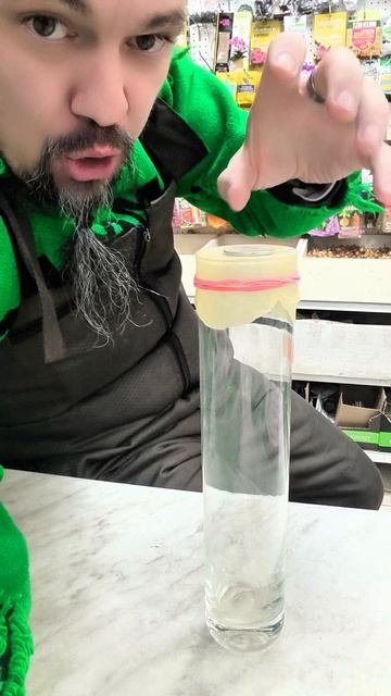 фокус покус