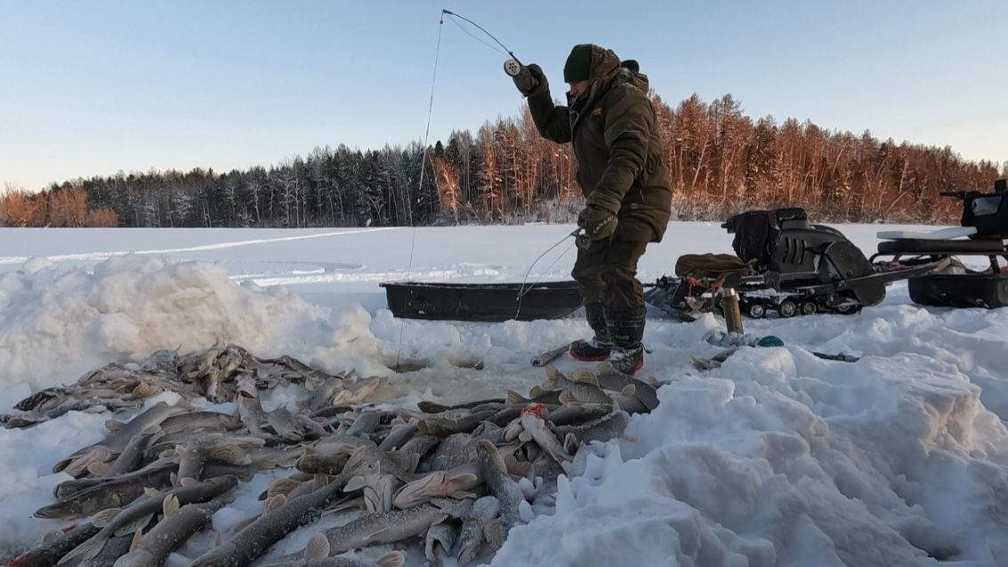 РЕКА И ЩУКА! Рыба клюёт такая, что рука устаёт таскать. смотреть онлайн