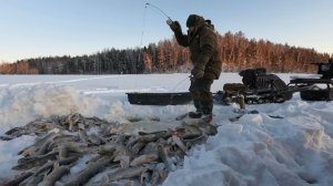 РЕКА И ЩУКА! Рыба клюёт такая, что рука устаёт таскать.