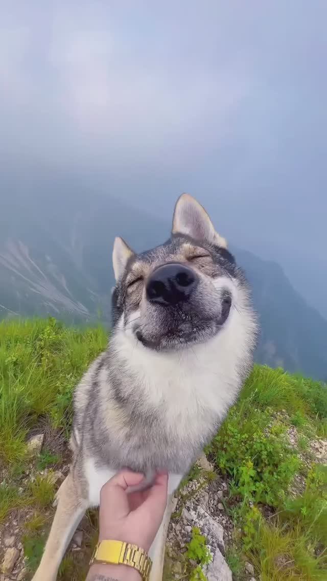 Кайфовых вам выходных смотреть онлайн