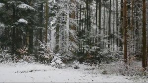 Душевная история 7-я