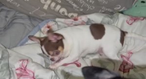 Всем наидобрейшего утречка и легкого воскресенья.