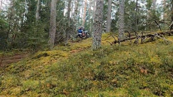 HARD TRAIL 28.09.2024