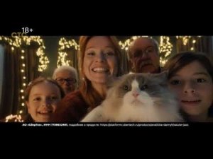 Рекламный блок СТС 24.12.2025