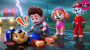 Щенячий патруль и Маршалл. Залипательное видео. Мультфильм для детей и малышей. Анимация 234