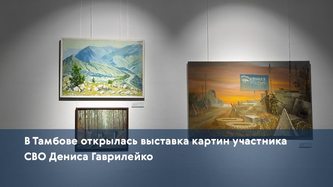 В Тамбове открылась выставка картин участника СВО Дениса Гаврилейко смотреть онлайн