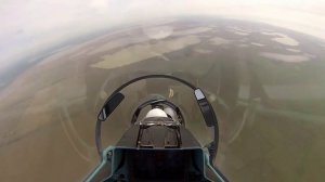 Стальная птица