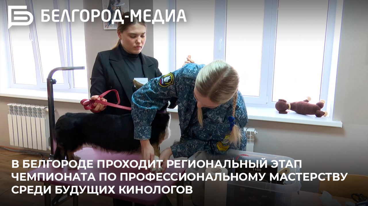 В Белгороде проходит региональный этап чемпионата по профессиональному мастерству среди кинологов смотреть онлайн