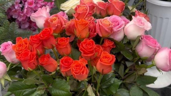 Выпуск с могилы Юлии Началовой / 1 февраля 2025 г. Троекуровское кладбище