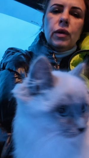 Отправка КотоРебенка в Москву.