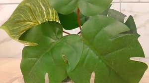 В человеке есть доброе. Страничка надежды