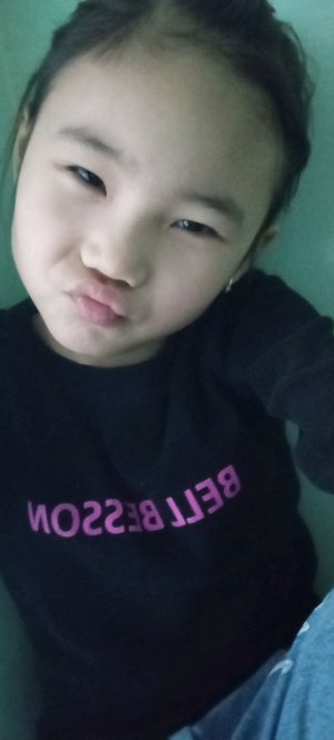 котики муркотики