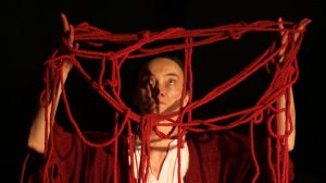 Культурная эволюция. 13 февраля