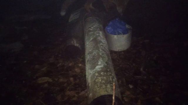 Лиса помогла найти хорошие радиодетали смотреть онлайн