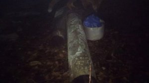 Лиса помогла найти хорошие радиодетали