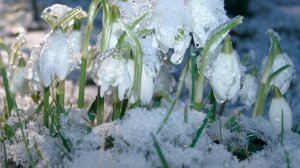 СП Добиваю недовязы 5/2026 Отчёт 7 с Мариной Стоговой