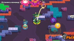 Богдан и Рыжик