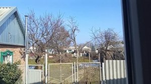 Побег Тарзана🐕//пюре от шефа🥘//