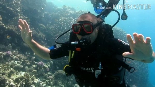 Египет Шарм-Эль-Шейх ☀️☀️☀️