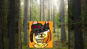 Я вернулась.......