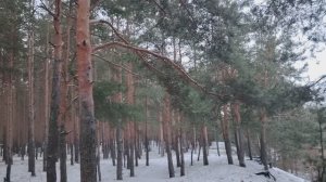 Сложности в общении на работе и вне её