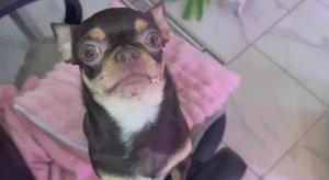 Все с удовольствием чуть - чуть перекусили.