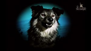 Уход на профилактику канала Мосфильм. Золотая коллекция 15.10.2025