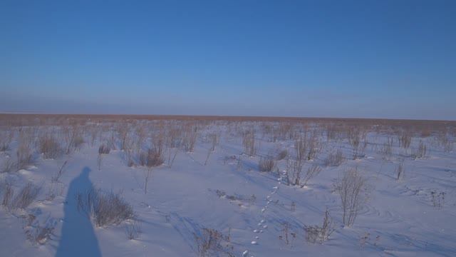 Охота на зайца - Замечательная охота смотреть онлайн