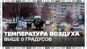 Температура воздуха в Москве поднялась выше 0 впервые с начала года - Москва 24