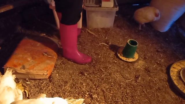 Обзор сегодняшнего утра 28.11.24